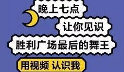 宝贝娱乐爆料文案短句,短句背后的精彩故事
