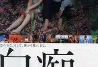 迷离夜 在线观看,沉浸式悬疑体验，揭秘在线观看的惊悚世界