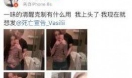 二辰粉丝爆料事件真相视频,真相视频曝光背后的真相