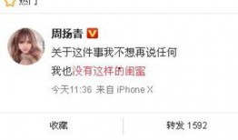 新闻爆料文章格式,揭秘某明星涉嫌偷税漏税内幕
