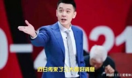 杨鸣回归最新爆料消息视频