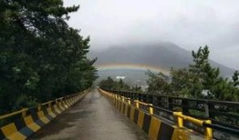 青岛雨后爆料最新消息,最新突发事件追踪