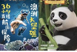 雪狼爆料静雯视频播放在线观看,静雯视频在线播放，独家揭秘幕后真相