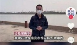 江苏新闻节目爆料电话,揭开真相的神秘之门