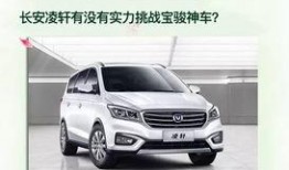 凌轩直播爆料最新消息是真的吗