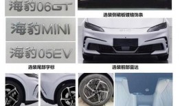 比亚迪海豹爆料视频最新,颠覆性设计，性能与智能科技双升级