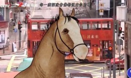 马视频在线观看,领略骏马风采，感受速度与激情