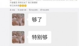 爆料娱乐圈毕雯珺,揭秘明星背后的故事