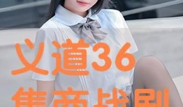 义道在线观看,探寻中华传统武术的奥秘之旅