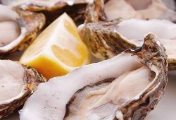 生蚝自助餐爆料视频教程,视频揭秘美味生蚝制作全过程