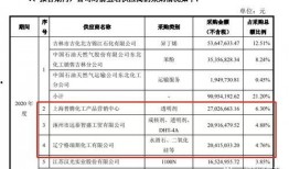 实料爆料明星名单最新消息,实料名单曝光，明星动态大揭秘！”