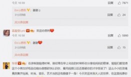 哈利作业最新爆料微博,揭秘神秘任务背后的故事