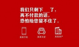 新品爆料视频文案怎么写,视频文案背后的亮点与期待