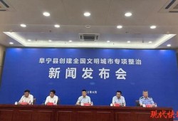 阜宁最新爆料事件新闻报道,事件真相逐步浮出水面