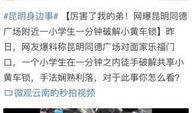 昆明小学生爆料视频,揭秘校园内幕