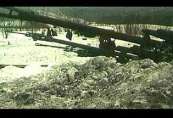 烈日血战电影在线观看,浴火重生，勇者无畏的生死较量