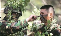迷彩热闻爆料视频下载,揭秘最新爆料视频下载全攻略