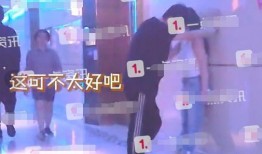 二辰粉丝爆料事件真相视频,真相视频曝光背后的真相