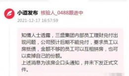 三盛集团爆料事件视频,揭秘视频背后的惊人真相