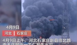 国内外媒体爆料事件视频,国内外媒体爆料事件视频背后的真相