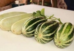 免费吃网红瓜最新,免费品尝背后的秘密与诱惑