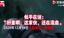 冒险王知情网友爆料视频,揭秘神秘视频背后的惊人真相