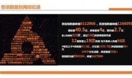 明日之子学员爆料视频,揭秘节目背后惊人内幕