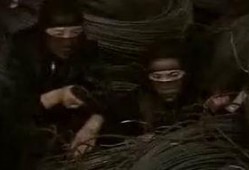 黑枪在线观看