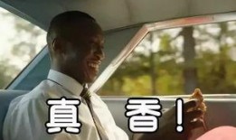 绿皮书演员爆料视频大全,揭秘幕后故事与精彩瞬间