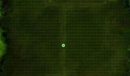 生死2最新爆料任务攻略,揭秘最新爆料任务攻略，轻松通关攻略大公开！