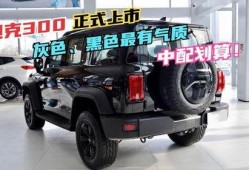 坦克300柴油最新爆料,性能与油耗双提升，硬派越野新标杆