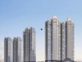 佛山都市爆料最新消息今天,都市爆料揭示今日热点事件！”