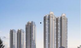 佛山都市爆料最新消息今天,都市爆料揭示今日热点事件！”