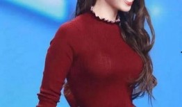 吉娜团队辟谣爆料视频播放,真相大白，还原事件始末