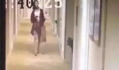 辽宁饭店爆料视频